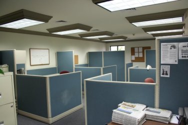Our office had six cubicles, and usually about half of them were full.